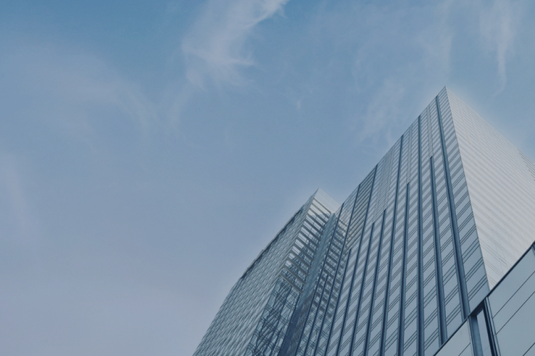 走进俏天下板材