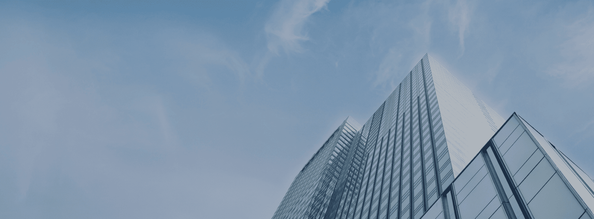 走进俏天下板材