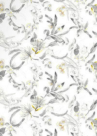 俏天下板材产品系列