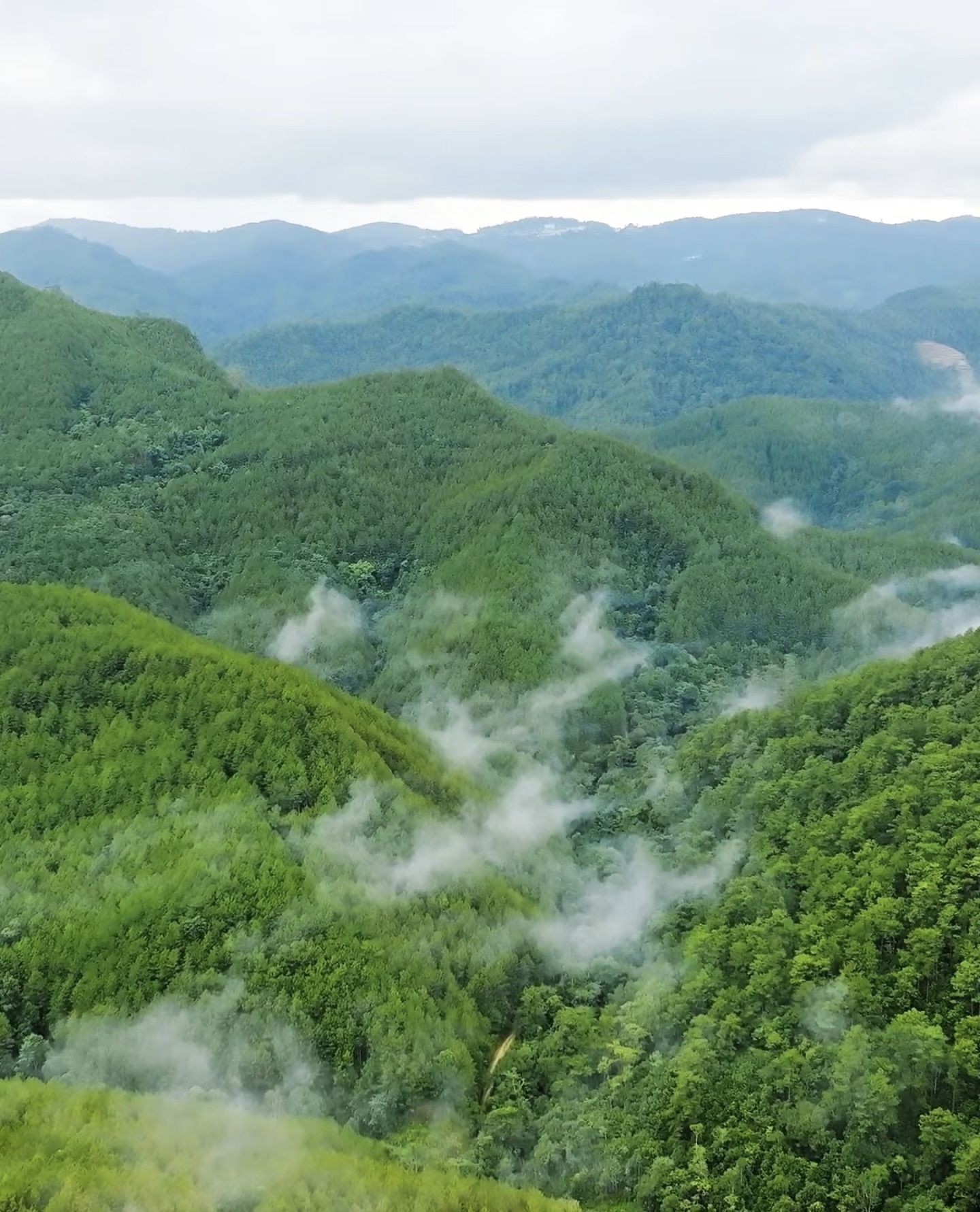 俏天下板材资讯中心