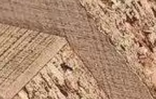 俏天下板材资讯中心