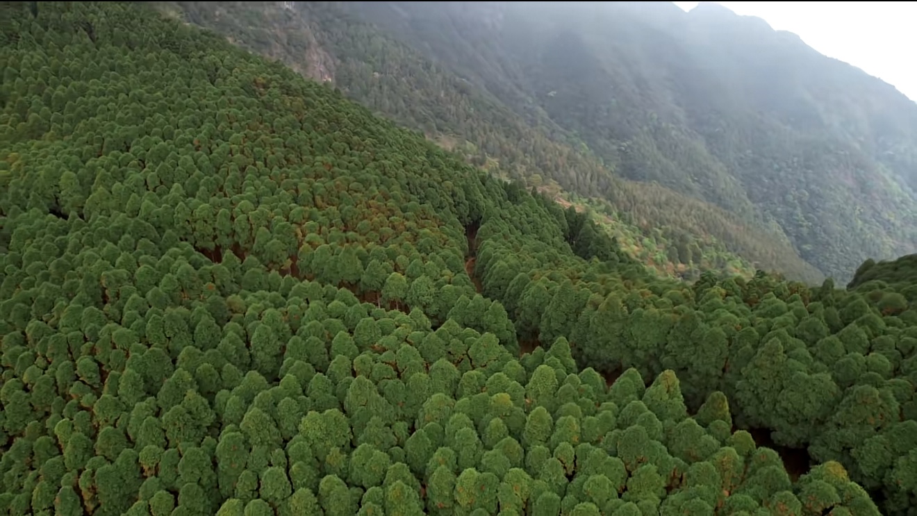 俏天下板材资讯中心