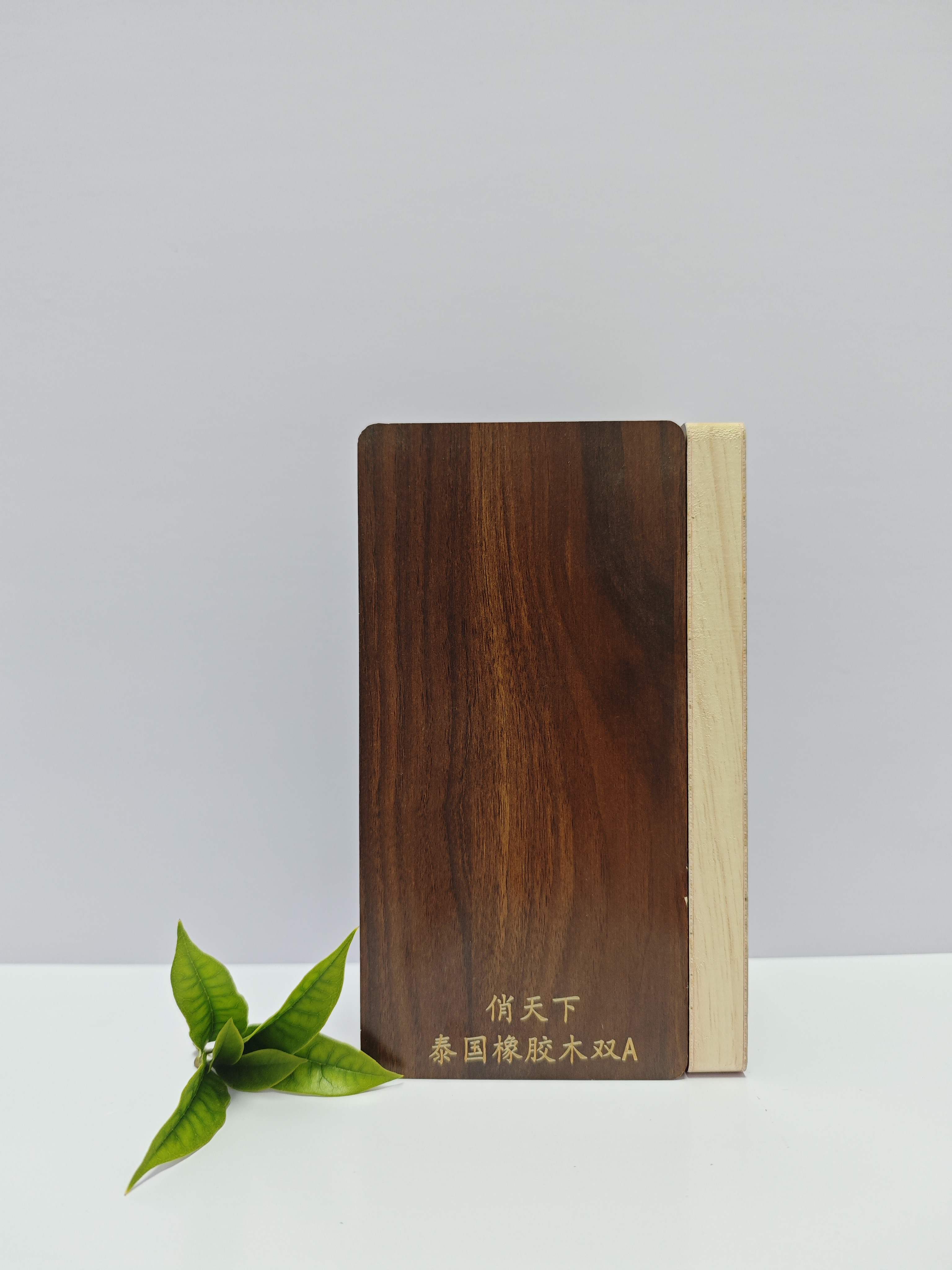 俏天下板材资讯中心