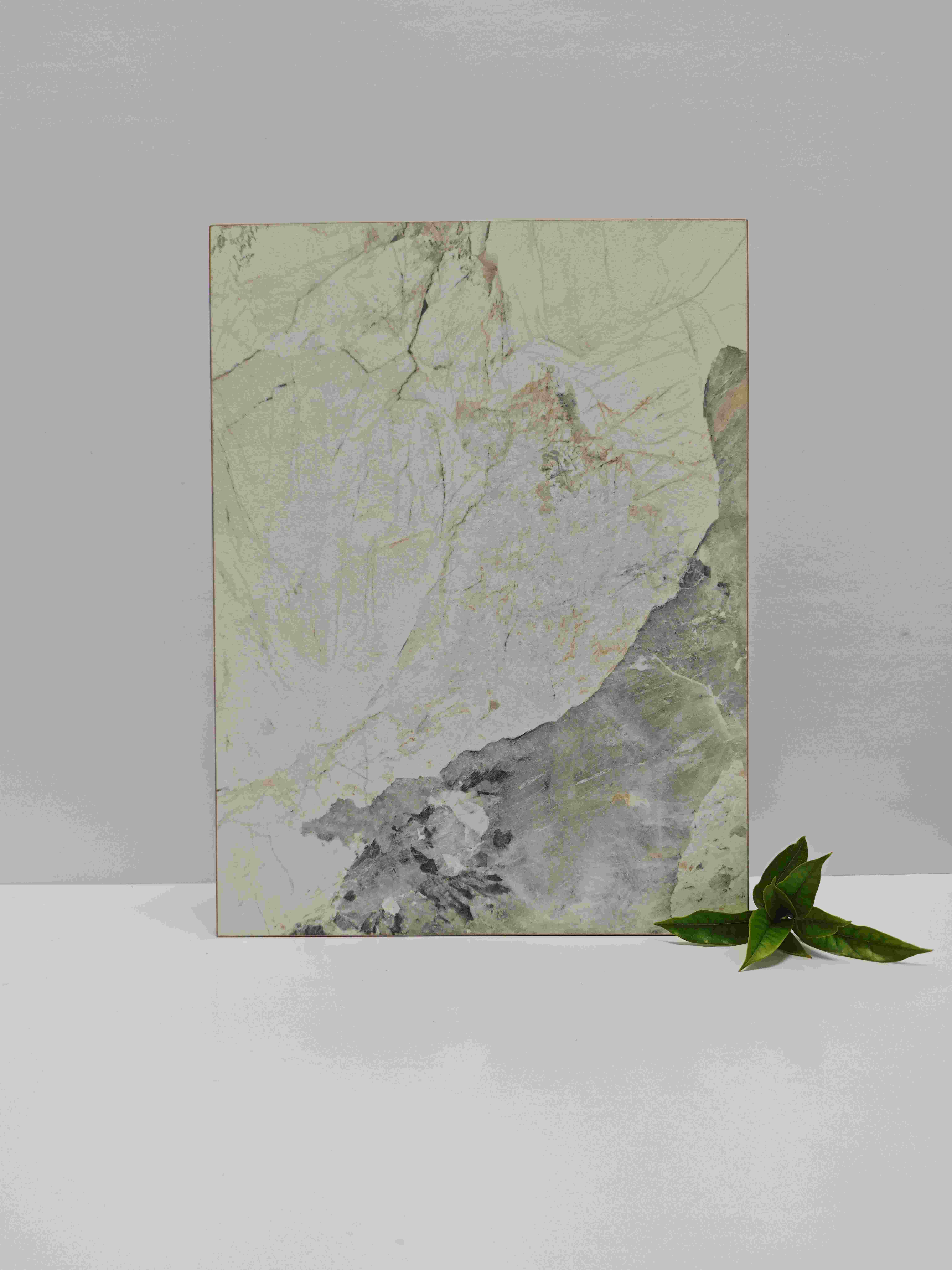 俏天下板材资讯中心